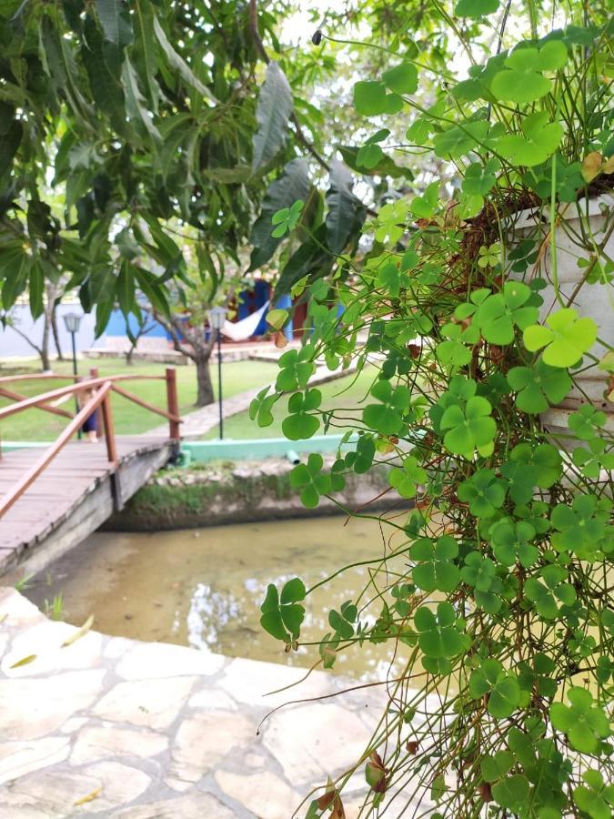 Cores Do Cerrado - Chales E Suites Goias Luaran gambar